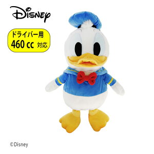 hih_bNwbhJo[ DR(hCo[)p 460ccΉ H-484