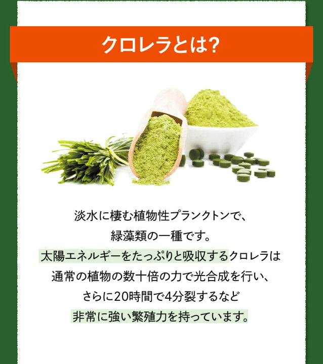 楽天市場】【エポラ公式】青玉クロレラ450粒 栄養機能食品（栄養補助 