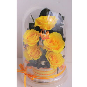 a LO JXj Vzj j  җj ËHj j Ďj Pj jj Sj ̓ ԃMtg 11FKNIׂAW h[P[X