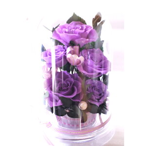 aSj 100 ̓ hV̓Mtg {݂ւ̑蕨 䌩 LO zCgf[ t[Mtg j ސEj ޏւ̃v[g J@j sNKN pink ͂Ȃ vU