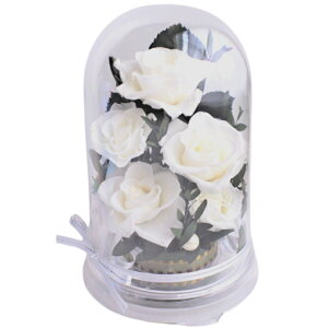 aSj 100 ̓ hV̓Mtg {݂ւ̑蕨 䌩 LO zCgf[ t[Mtg j ސEj ޏւ̃v[g J@j sNKN pink ͂Ȃ vU