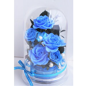 a蕨 NX}X zCgf[ ޏւ̃v[g ̓ LO t[Mtg j ސEj ԃv[g ZsNKN Darkdpink