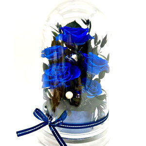 a j j 99 Sj 100Ἐ LO Vzj t[Mtg j ސEj ԃv[g KN white h[P[X