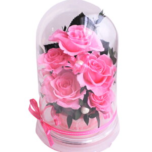 a j җj 60 ̓ LO t[Mtg j ސEj ԃv[g ԂKN red h[P[X