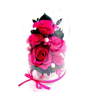 a LO ̓̓ijljƗjJXjVzjt[Mtg j ԃv[g  Ղ̐KN blue u[h[P[X