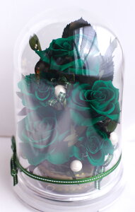 a j җj 60 ̓ LO t[Mtg j ސEj ԃv[g ԂKN red h[P[X