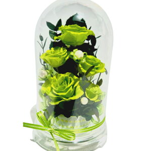 a j җj 60 ̓ LO t[Mtg j ސEj ԃv[g ԂKN red h[P[X