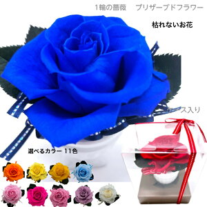 a LO o^C zCgf[ j  җj ËHj j Ďj Pj j j Sj ̓ ԃMtg 11FKNIׂ傫1ւKN