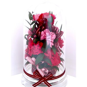 ̓ Mother's Day a 䌩 LO Ύj ̓Mtg Green Carnation ̗΃J[l[V Ȉ O[J[lV Iׂ6J[ ͂Ȃ vU[uht[ h
