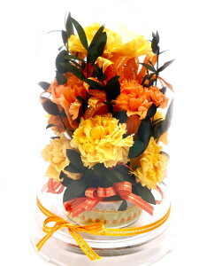 ̓ Mother's Day a 䌩 LO җj ̓Mtg Red Carnation ԂJ[l[V Iׂ6J[ ͂Ȃ vU[uht[ h[P[X