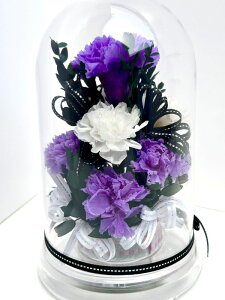 ̓ Mother's Day a 䋟 ] j ̓Mtg Purple Carnation J[l[V p[vJ[l[V Iׂ6J[ ͂Ȃ vU[uht[ h[P[X