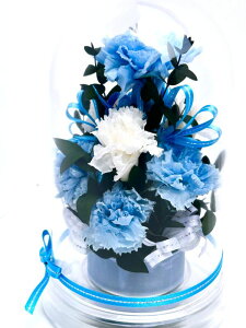 ̓ Mother's Day a 䌩 LO Sj ̓Mtg Pink Carnation sNJ[l[V Iׂ6J[ ͂Ȃ vU[uht[ h[P[X