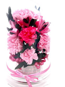 ̓ Mother's Day a 䌩 LO җj ̓Mtg Red Carnation ԂJ[l[V Iׂ6J[ ͂Ȃ vU[uht[ h[P[X