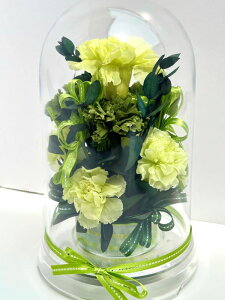 ̓ Mother's Day a 䋟 ] j ̓Mtg Purple Carnation J[l[V p[vJ[l[V Iׂ6J[ ͂Ȃ vU[uht[ h[P[X