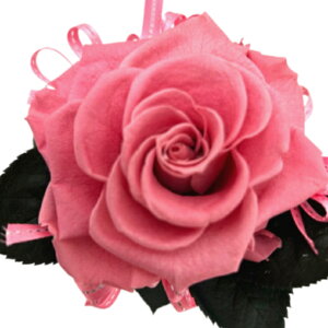 ̓v[g ̓Mtg Sj sNKN 傫ȓF1փ[Y 100 a LO j  hV̓Mtg ޏւ̃v[g t[Mtg Pink Rose ͂Ȃ v