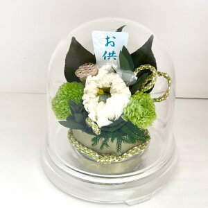 e  O[h[ M  vU[uht[     d ͂Ȃ r  l\  d  ~ V~ ~ ފ  ybg