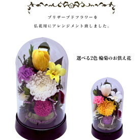 開花白輪菊 カラフルなデザインドームお供え 選べる2色のカラー プリザーブドフラワー 仏花 お供え お悔やみ 供花 仏壇 枯れない 花 喪中見舞い 一周忌 四十九日 お悔やみ 仏壇 仏花 お盆 新盆 初盆 お彼岸 正月 法事 ペット