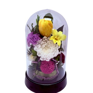 JԉF֋e JtȃfUCh[ Iׂ2F̃J[ vU[uht[     d ͂Ȃ  r  l\  d  ~ 