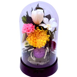 JԉF֋e JtȃfUCh[ Iׂ2F̃J[ vU[uht[     d ͂Ȃ  r  l\  d  ~ 