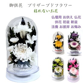 輪菊白 ホワイトドーム仏花 プリザーブドフラワー 仏花 お供え お悔やみ 供花 仏壇 枯れない 花 喪中見舞い 一周忌 四十九日 お悔やみ 仏壇 仏花 お盆 新盆 初盆 お彼岸 法事 ペット 選べるカラー＆土台