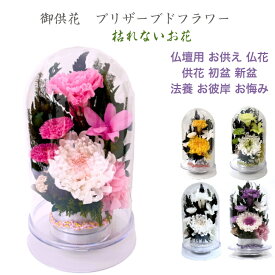 輪菊桃 ホワイトピンクドーム仏花 プリザーブドフラワー 仏花 お供え お悔やみ 供花 仏壇 枯れない 花 喪中見舞い 一周忌 四十九日 お悔やみ 仏壇 仏花 お盆 新盆 初盆 お彼岸 正月 法事 ペット