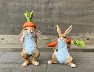 ̒u K[fjO K[fI[ig  u IuWF CeA 킢 G  ETM @y@~jLbgETM@AB@z