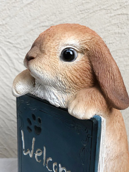 可愛いウサギさんがお出迎えしてくれます うさぎの置物 ガーデニング 予約販売 ガーデンオーナメント 置物 時間指定不可 オブジェ インテリア かわいい 雑貨 ウサギ うさぎ ウエルカムBooK 樹脂