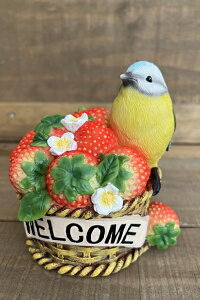 K[fjO K[fI[ig u IuWF CeA 킢 G   Ƃ  Aj}y o[hXgx[ z