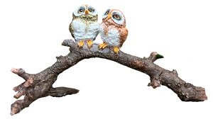 K[fjO K[fI[ig u IuWF CeA tNE ӂ낤 킢 G   Ƃ  Aj}y ~jӂ낤i}jz