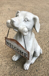 ̒u K[fjO K[fI[ig u IuWF CeA 킢 G   hbO DOG  fBXvC y@EGJ񂿂*@z