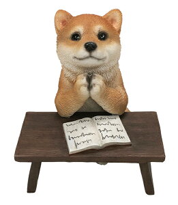 ̒u K[fjO K[fI[ig u IuWF CeA 킢 G   ď Č hbO DOG  fBXvC y āi肢j@z