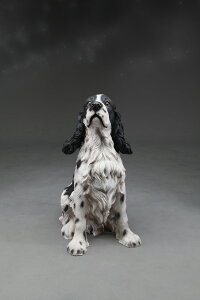 ̒u K[fjO K[fI[ig u IuWF CeA 킢 G   hbO DOG  fBXvC y@ DOG 肢@z