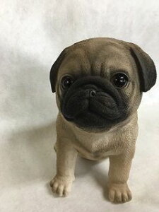 ̒u K[fjO K[fI[ig u IuWF CeA 킢 G   hbO DOG  fBXvC y pO@z