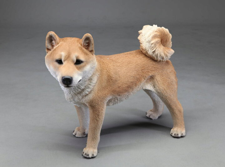 楽天市場】犬の置物 ガーデニング ガーデンオーナメント 置物 オブジェ 