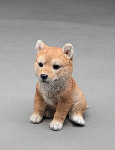 ̒u K[fjO K[fI[ig u IuWF CeA 킢 G   hbO DOG  fBXvC y ā@z