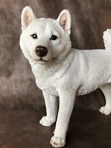 ̒u K[fjO K[fI[ig u IuWF CeA 킢 G   hbO DOG  fBXvC y Čij z