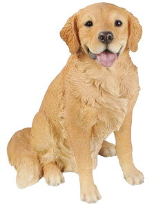 ̒u K[fjO K[fI[ig u IuWF CeA 킢 G   hbO DOG  fBXvC y go[@B@z
