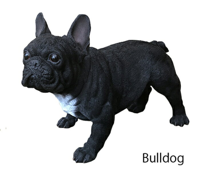 楽天市場 犬の置物 ガーデニング ガーデンオーナメント 置物 オブジェ インテリア かわいい 雑貨 樹脂 いぬ ドッグ Dog 動物 ディスプレイ フレンチブルドック 黒 ｃｈｌｏｒｉｓ ｇａｒｄｅｎ