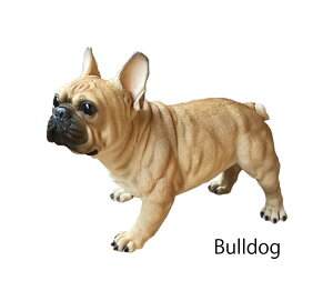 ̒u K[fjO K[fI[ig u IuWF CeA 킢 G   hbO DOG  fBXvC y t`uhbNij z