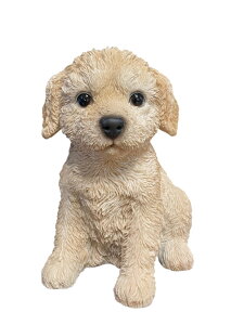̒u K[fjO K[fI[ig u IuWF CeA 킢 G   hbO DOG  fBXvC y uhD[@z