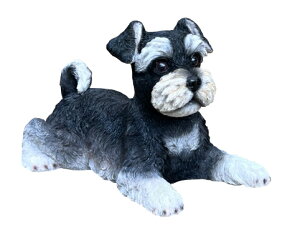 ̒u K[fjO K[fI[ig u IuWF CeA 킢 G  hbO DOG  fBXvC y ViEU[(jz