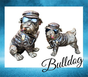 ̒u u K[fjO K[fI[ig u IuWF CeA 킢 G   hbO DOG  fBXvC y uhbN AB (2̃Zbg) z