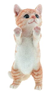 ˂̒u K[fjO K[fI[ig u IuWF CeA 킢 G  L lR  fBXvC y q˂ CiX^hjz