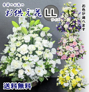 ywz AWg LLTCY @ @v { V    l\   O      ̐l ~ ފ D bZ[WJ[h  