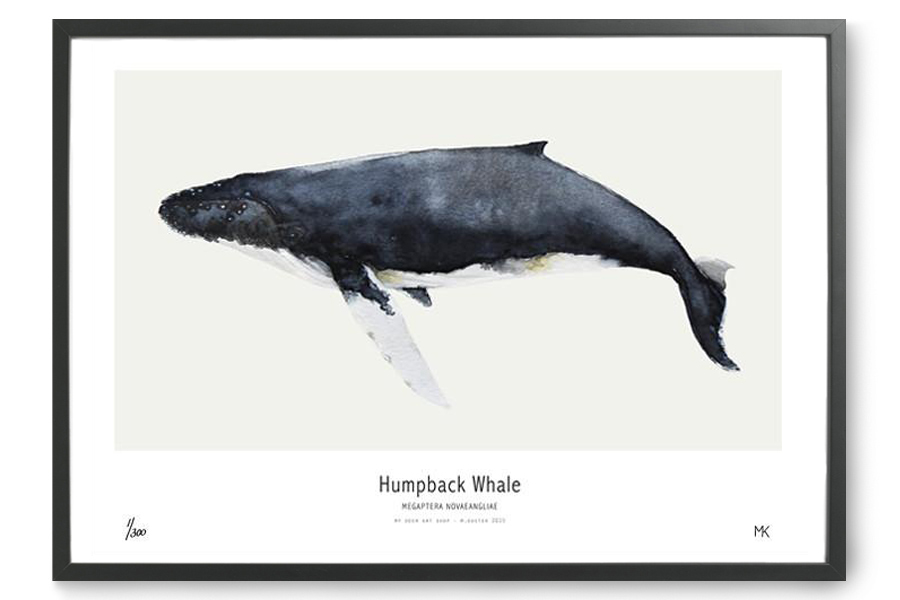 ���395��MY ��� DEER ART SHOP ����帥� �≪���������50�70cm Humpback whale �����襖 絖����� �ゃ�����������������≪������紕�����≪���� �≪�������潟� 腟窮� ����潟����ゃ��鴻� ������