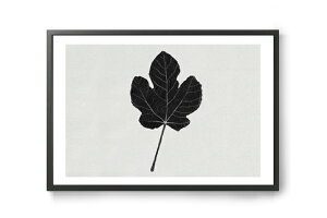 y݌ɌzyēׂȂz ana froisAi tCX@|X^[/A[gvg@summer finds 02@A3yCXg CeA kG  Ǌ| G pl _ mN mg[z