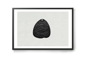 y݌ɌzyēׂȂz ana froisAi tCX@|X^[/A[gvg@summer finds 06@A3yCXg CeA kG  Ǌ| G pl _ mN mg[z