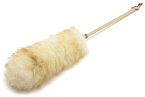 fbJ[ Redecker VRE[̃zR͂ i nhCh VRf  GR d TXeiu i` G |pi pi pi CeA 