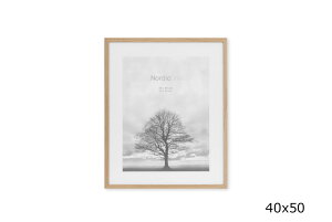 INCADO@I[NCށ@|X^[t[/z@40×50cmyI[NC VR i` |X^[t[ A[gt[ z sN`[t[ ʐ^ EH[pl G Ce