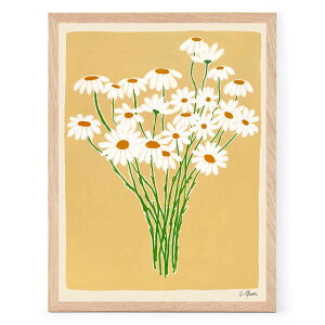 The Poster Club A[g|X^[ 30×40cm Daisies |X^[Nu kG f}[N A[gvg  CeA  IV lC  mN re[W Be[W 